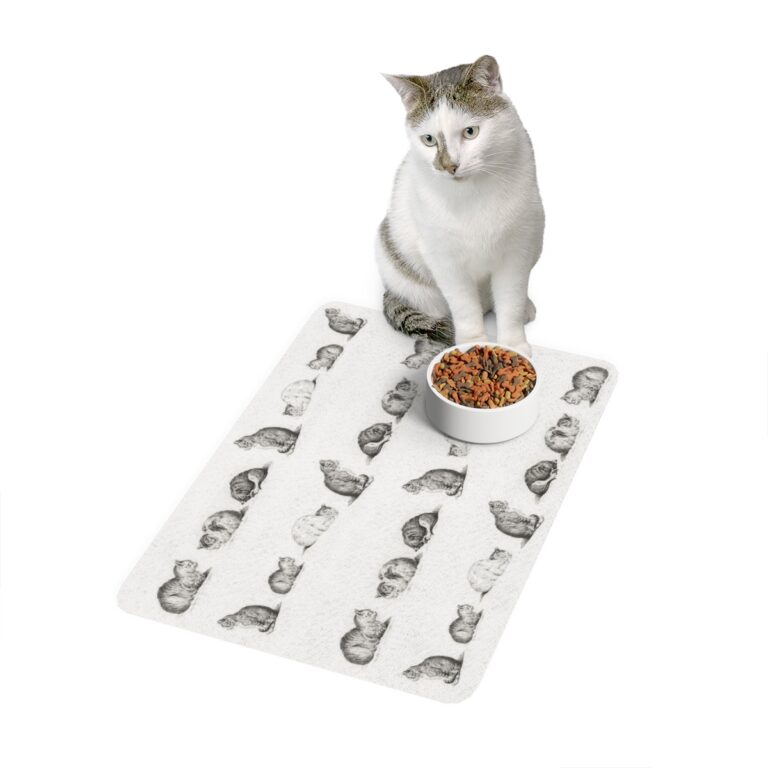 What Makes a Feeding Mat Perfect for Your Cat & You?